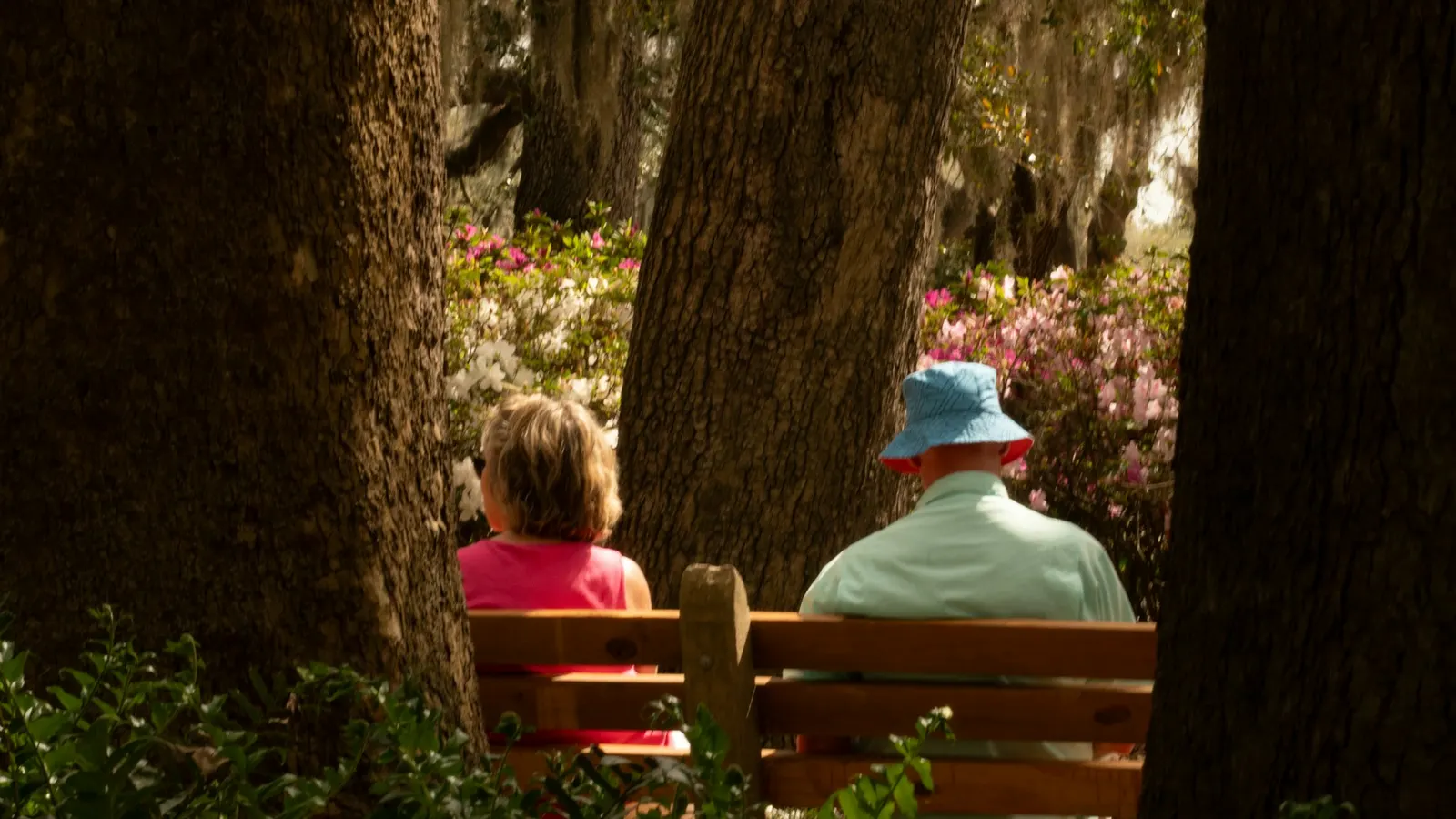 Two people sitting on a bench among flowering bushes