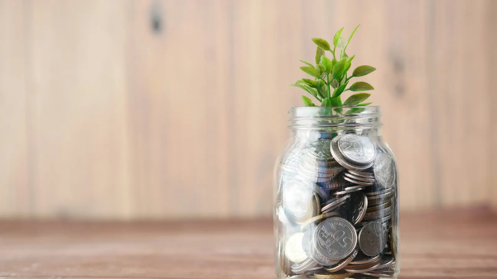 Glass jar filled with coins with a small plant growing from it